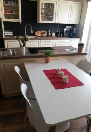 Apartman Oasis